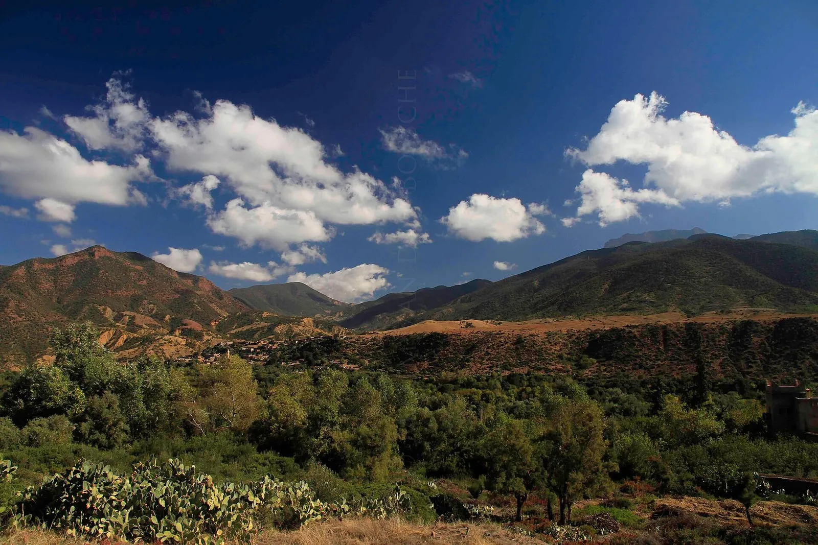 La vallée de l'Ourika dans le Haut Atlas, excursion à la journée depuis Marrakech